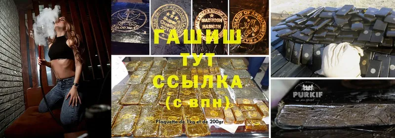 ГАШ индика сатива  МЕГА ссылка  Волхов 